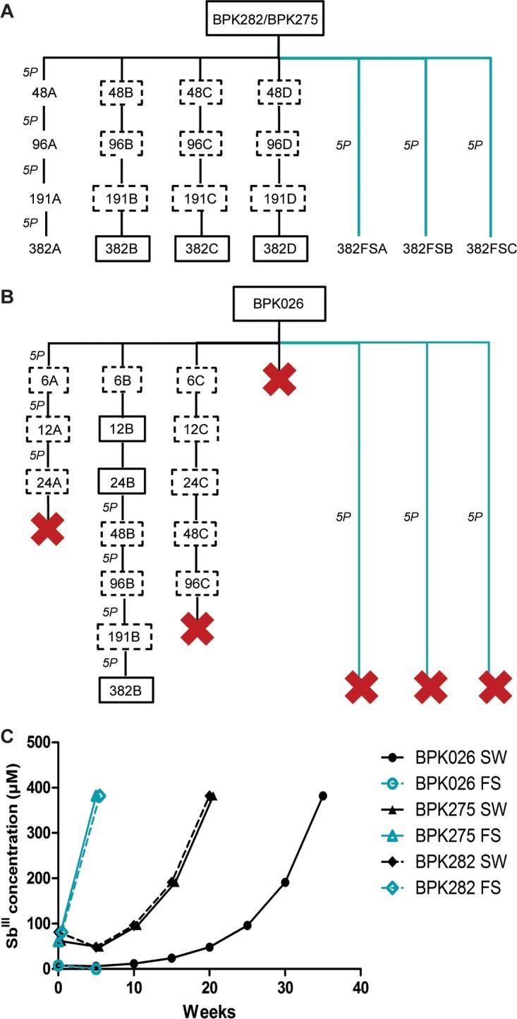 https://cdn.ncbi.nlm.nih.gov/pmc/blobs/1527/5907651/608b02695a2d/sph0021825130002.jpg