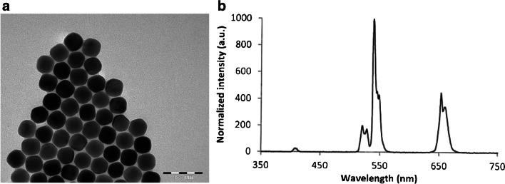 https://cdn.ncbi.nlm.nih.gov/pmc/blobs/1528/10861389/666cc57f3f33/216_2024_5156_Fig2_HTML.jpg