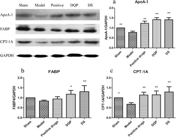 https://cdn.ncbi.nlm.nih.gov/pmc/blobs/1528/5153825/4d6818fa55c7/12906_2016_1496_Fig1_HTML.jpg