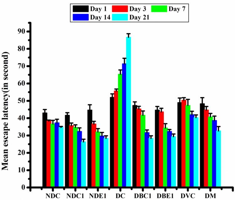 https://cdn.ncbi.nlm.nih.gov/pmc/blobs/1529/11736978/b3308a2d2582/cureus-0016-00000075866-i02.jpg