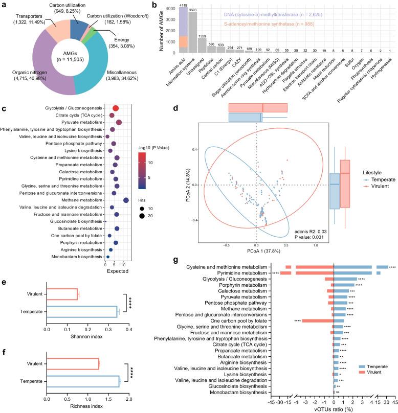 https://cdn.ncbi.nlm.nih.gov/pmc/blobs/152d/12180181/4eace86320d0/40168_2025_2046_Fig5_HTML.jpg