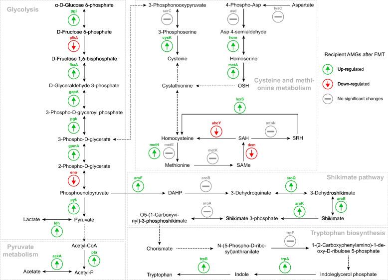 https://cdn.ncbi.nlm.nih.gov/pmc/blobs/152d/12180181/d137225f6c52/40168_2025_2046_Fig6_HTML.jpg