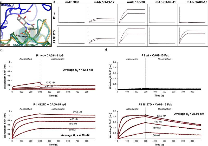 https://cdn.ncbi.nlm.nih.gov/pmc/blobs/152e/10130015/96cc51147fe0/42003_2023_4793_Fig4_HTML.jpg