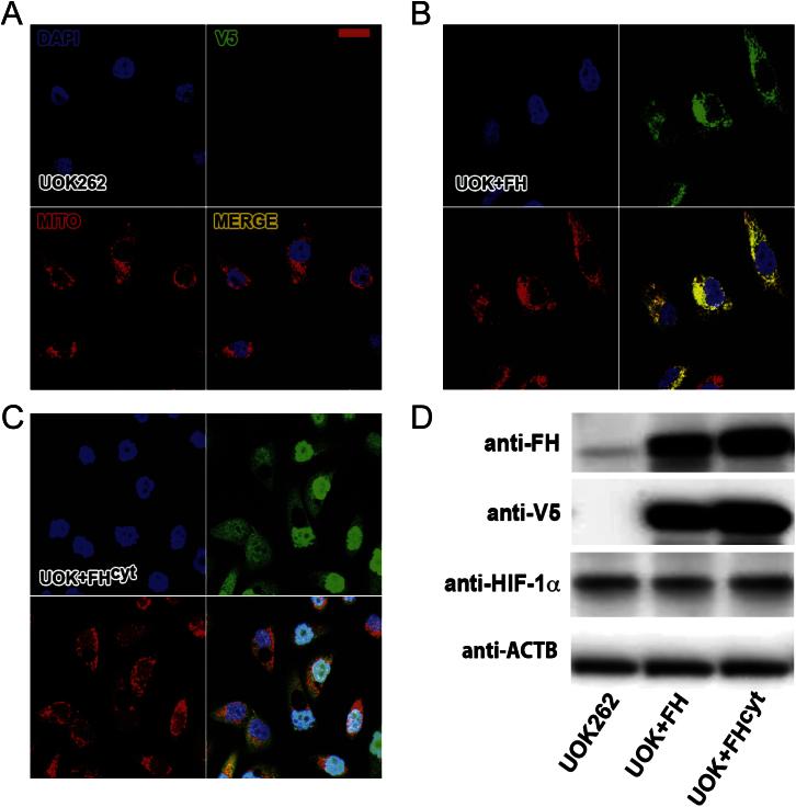 https://cdn.ncbi.nlm.nih.gov/pmc/blobs/152f/3675675/25d23383a910/figs2.jpg