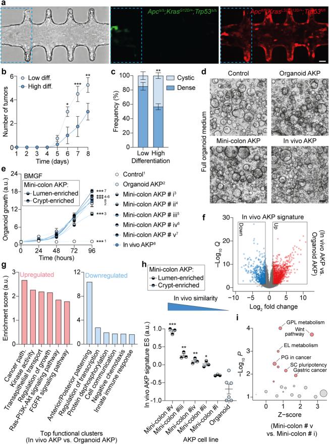 https://cdn.ncbi.nlm.nih.gov/pmc/blobs/1530/11078756/00203315ea97/41586_2024_7330_Fig8_ESM.jpg