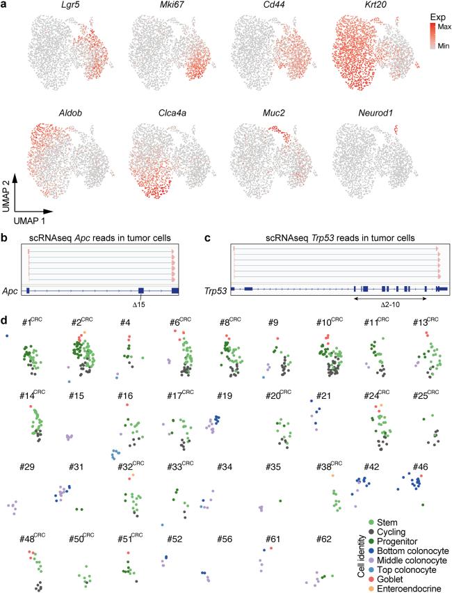 https://cdn.ncbi.nlm.nih.gov/pmc/blobs/1530/11078756/4bc7dfc5e77a/41586_2024_7330_Fig10_ESM.jpg