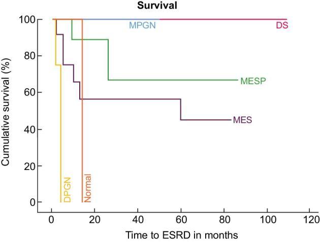 https://cdn.ncbi.nlm.nih.gov/pmc/blobs/1530/12209841/df1561ed17f5/sfaf166fig3.jpg