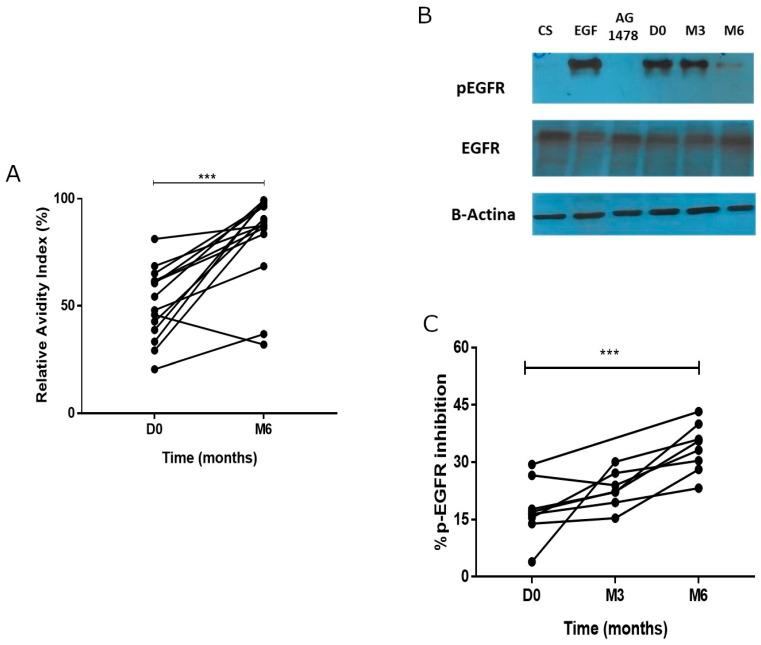 https://cdn.ncbi.nlm.nih.gov/pmc/blobs/1532/11359286/5f7af7fea3ed/vaccines-12-00833-g003.jpg