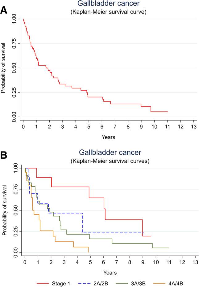 https://cdn.ncbi.nlm.nih.gov/pmc/blobs/1534/10891216/4c5a863e9a97/423_2024_3261_Fig1_HTML.jpg