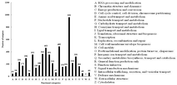 https://cdn.ncbi.nlm.nih.gov/pmc/blobs/1537/3431226/ab82d7f0c597/1471-2164-13-192-5.jpg