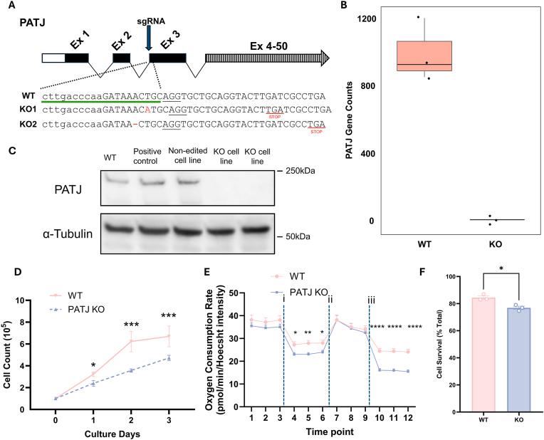 https://cdn.ncbi.nlm.nih.gov/pmc/blobs/1538/12169792/eb1e036ed972/gr2.jpg