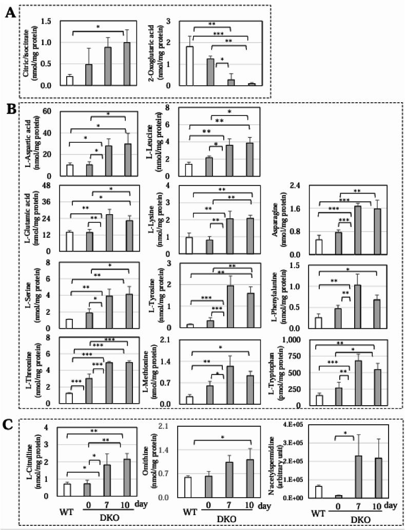 https://cdn.ncbi.nlm.nih.gov/pmc/blobs/1538/12273234/1647c10567fc/gr6.jpg
