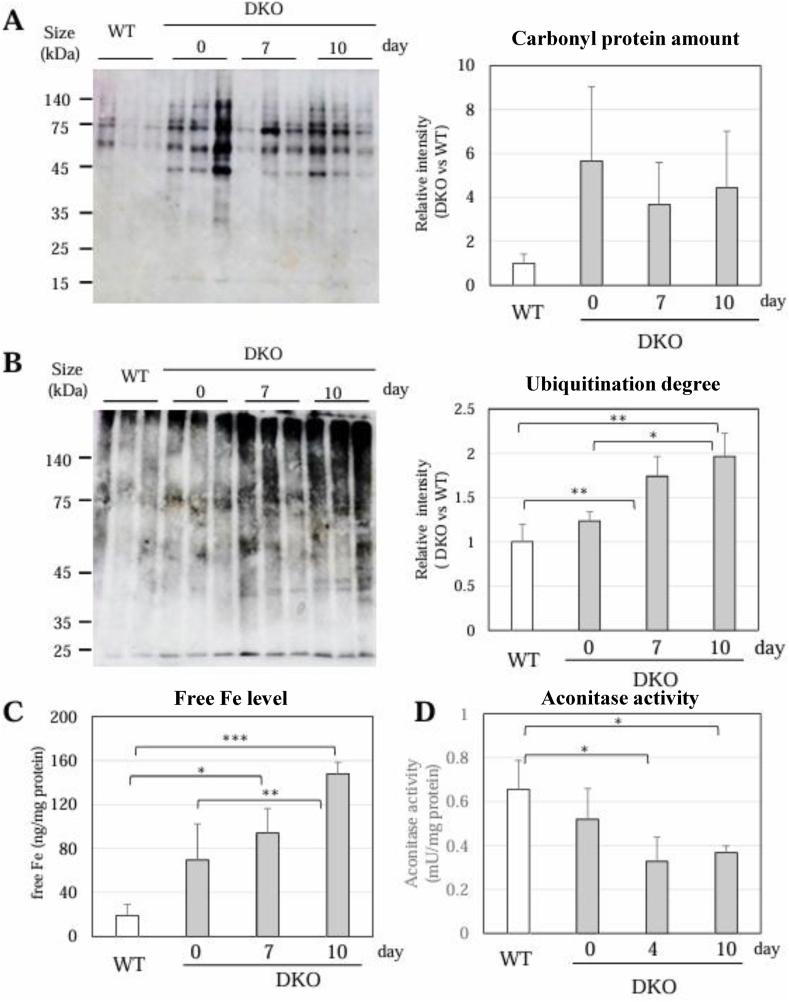 https://cdn.ncbi.nlm.nih.gov/pmc/blobs/1538/12273234/6dbe6230a329/gr8.jpg