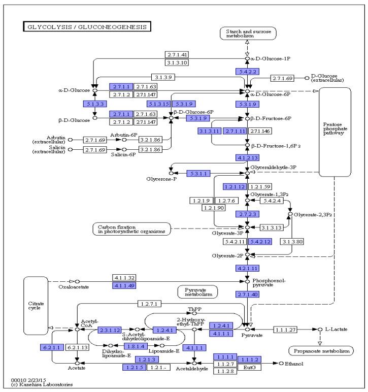 https://cdn.ncbi.nlm.nih.gov/pmc/blobs/153a/11505816/4b65de1e11fb/cimb-46-00688-g006.jpg