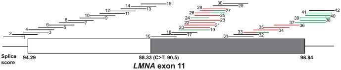 https://cdn.ncbi.nlm.nih.gov/pmc/blobs/153b/4044034/0080b2c61236/pone.0098306.g001.jpg