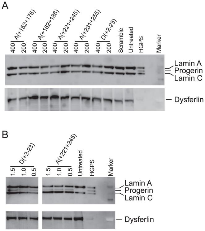 https://cdn.ncbi.nlm.nih.gov/pmc/blobs/153b/4044034/b4e2ae32c832/pone.0098306.g004.jpg