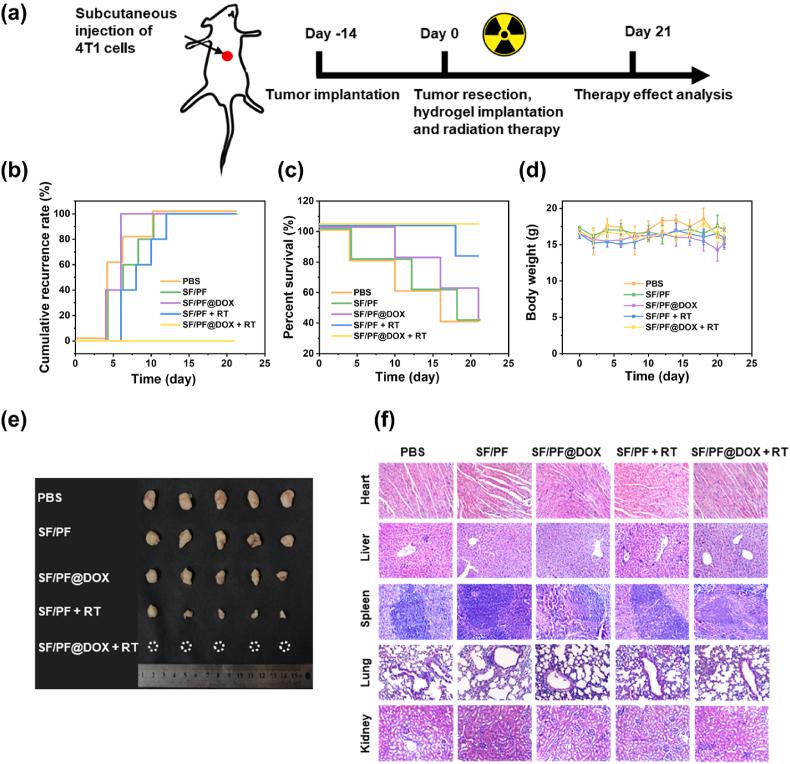 https://cdn.ncbi.nlm.nih.gov/pmc/blobs/153c/10482898/09585e3264a2/gr5.jpg