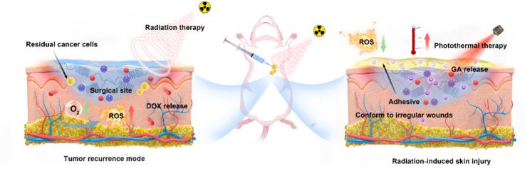 https://cdn.ncbi.nlm.nih.gov/pmc/blobs/153c/10482898/6995200679cc/ga1.jpg