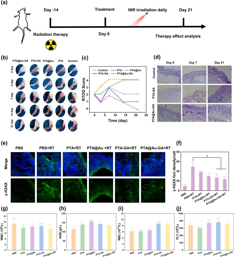 https://cdn.ncbi.nlm.nih.gov/pmc/blobs/153c/10482898/a7257dcffd50/gr6.jpg