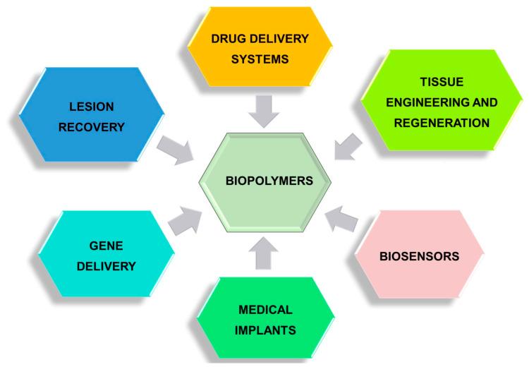 https://cdn.ncbi.nlm.nih.gov/pmc/blobs/153c/11085205/2165baf4c0d0/polymers-16-01182-g024.jpg