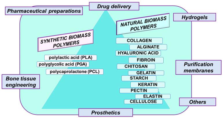https://cdn.ncbi.nlm.nih.gov/pmc/blobs/153c/11085205/25c5721a3aad/polymers-16-01182-g001.jpg