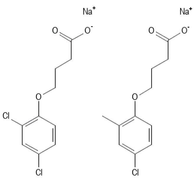 https://cdn.ncbi.nlm.nih.gov/pmc/blobs/153c/11085205/428ca4c80a64/polymers-16-01182-g021.jpg