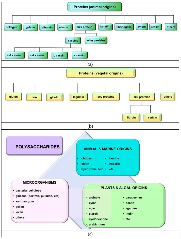 https://cdn.ncbi.nlm.nih.gov/pmc/blobs/153c/11085205/4f1eb3e4bcde/polymers-16-01182-g002.jpg