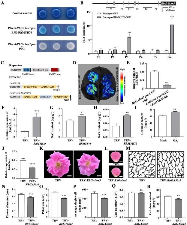 https://cdn.ncbi.nlm.nih.gov/pmc/blobs/153c/12268152/42d29d9e6d77/uhaf134f6.jpg