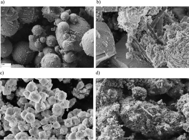 https://cdn.ncbi.nlm.nih.gov/pmc/blobs/153c/7000786/cc14ac4ed60b/41598_2020_58591_Fig3_HTML.jpg