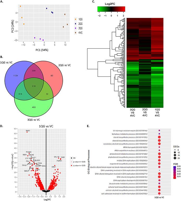 https://cdn.ncbi.nlm.nih.gov/pmc/blobs/153c/8557872/973074842454/spectrum.00957-21-f008.jpg