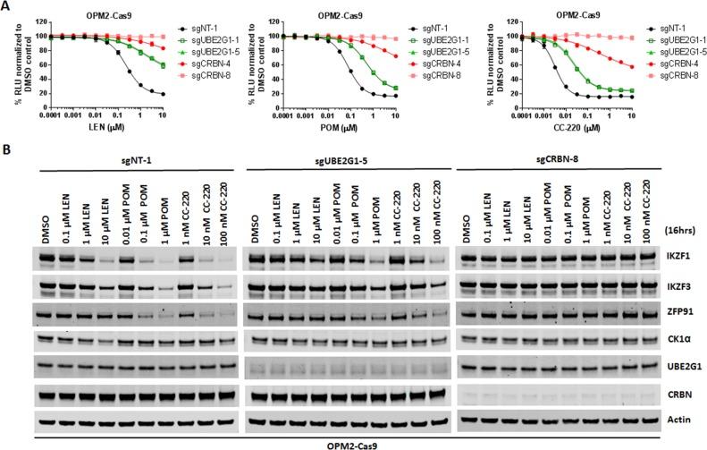 https://cdn.ncbi.nlm.nih.gov/pmc/blobs/153f/6185104/07581d38bd02/elife-40958-fig7.jpg