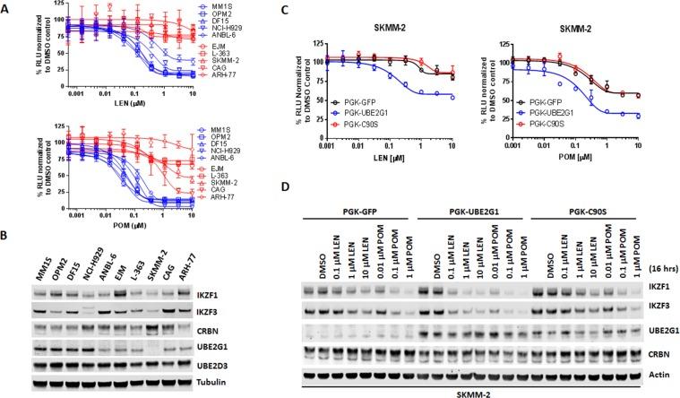 https://cdn.ncbi.nlm.nih.gov/pmc/blobs/153f/6185104/c9fb6baa1137/elife-40958-fig6.jpg
