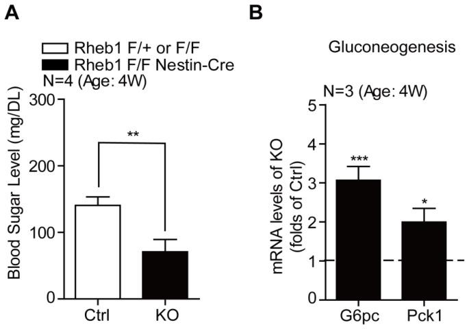 https://cdn.ncbi.nlm.nih.gov/pmc/blobs/1540/3907882/c85059806e75/ijms-15-01499f2.jpg
