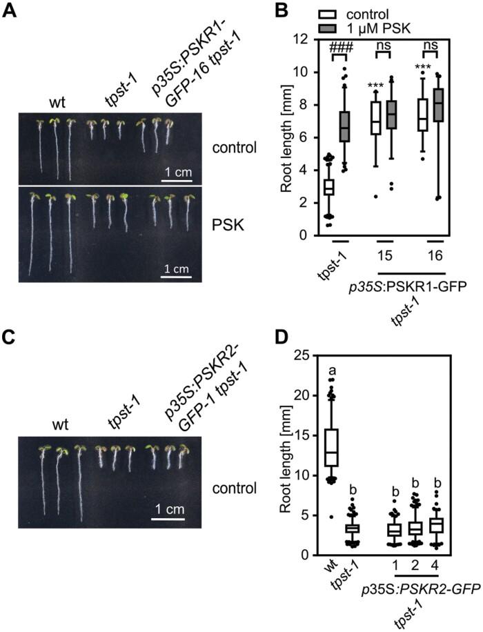 https://cdn.ncbi.nlm.nih.gov/pmc/blobs/1542/8318253/dec34ba48037/erab233f0005.jpg