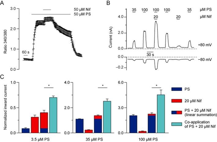 https://cdn.ncbi.nlm.nih.gov/pmc/blobs/1544/3925040/3b77ec08a567/bph0171-1019-f1.jpg