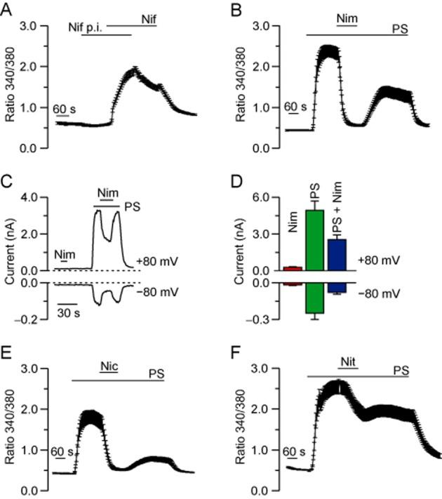 https://cdn.ncbi.nlm.nih.gov/pmc/blobs/1544/3925040/e861aa874649/bph0171-1019-f2.jpg