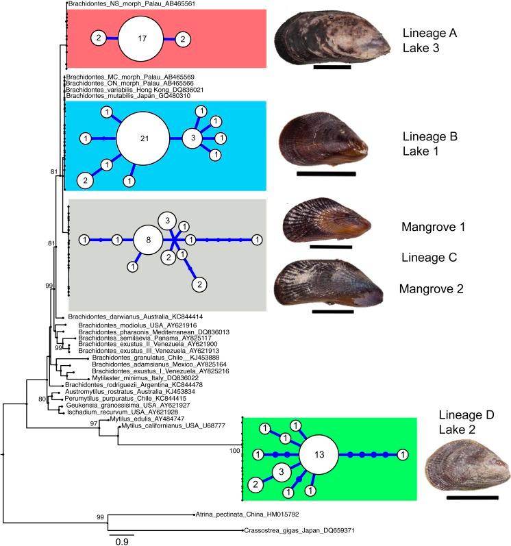 https://cdn.ncbi.nlm.nih.gov/pmc/blobs/1545/5068364/301b8ecc69c5/peerj-04-2496-g002.jpg