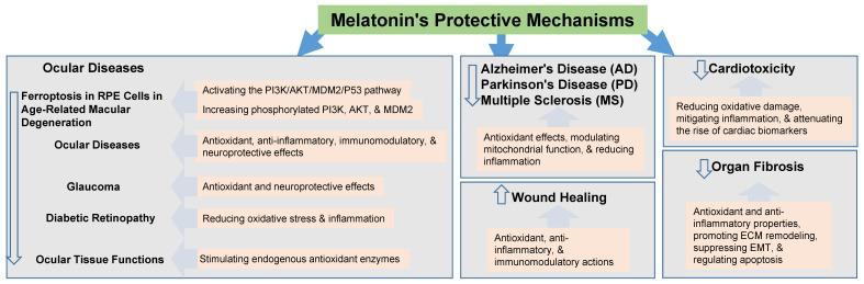 https://cdn.ncbi.nlm.nih.gov/pmc/blobs/1546/12347934/49647d4187db/ijms-26-07526-g002.jpg