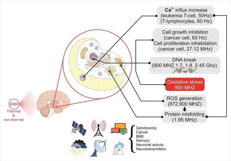 https://cdn.ncbi.nlm.nih.gov/pmc/blobs/1547/11298025/f40f74ea22d6/bi-14-30064-g003.jpg