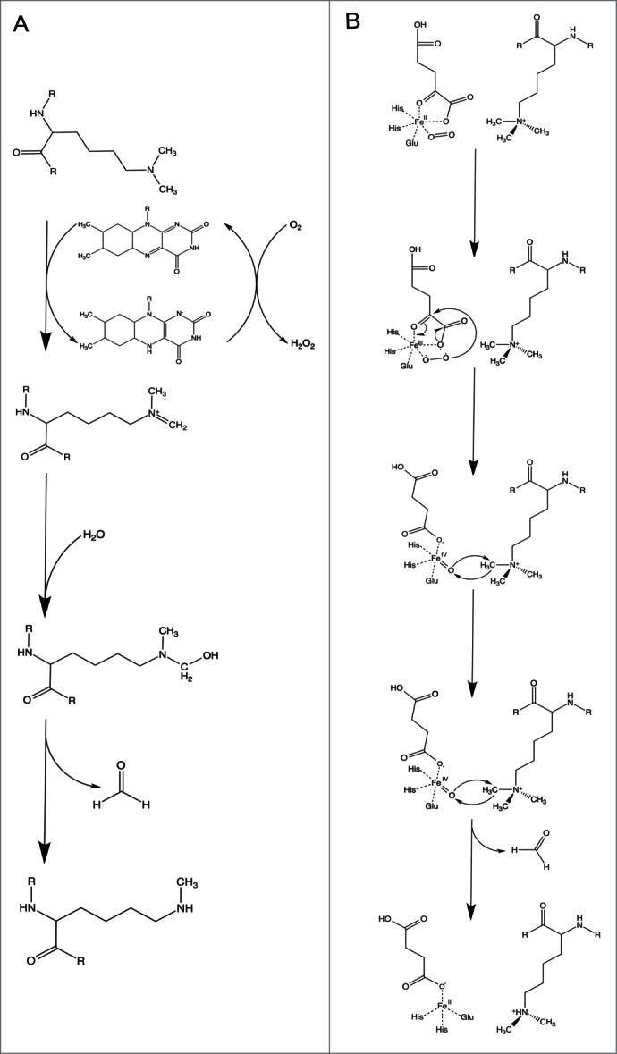 https://cdn.ncbi.nlm.nih.gov/pmc/blobs/154d/4594552/8e20ec89585a/kfly-09-01-1074787-g002.jpg