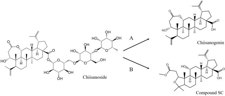 https://cdn.ncbi.nlm.nih.gov/pmc/blobs/154e/12141488/0769f269d5b8/41598_2025_4855_Fig1_HTML.jpg