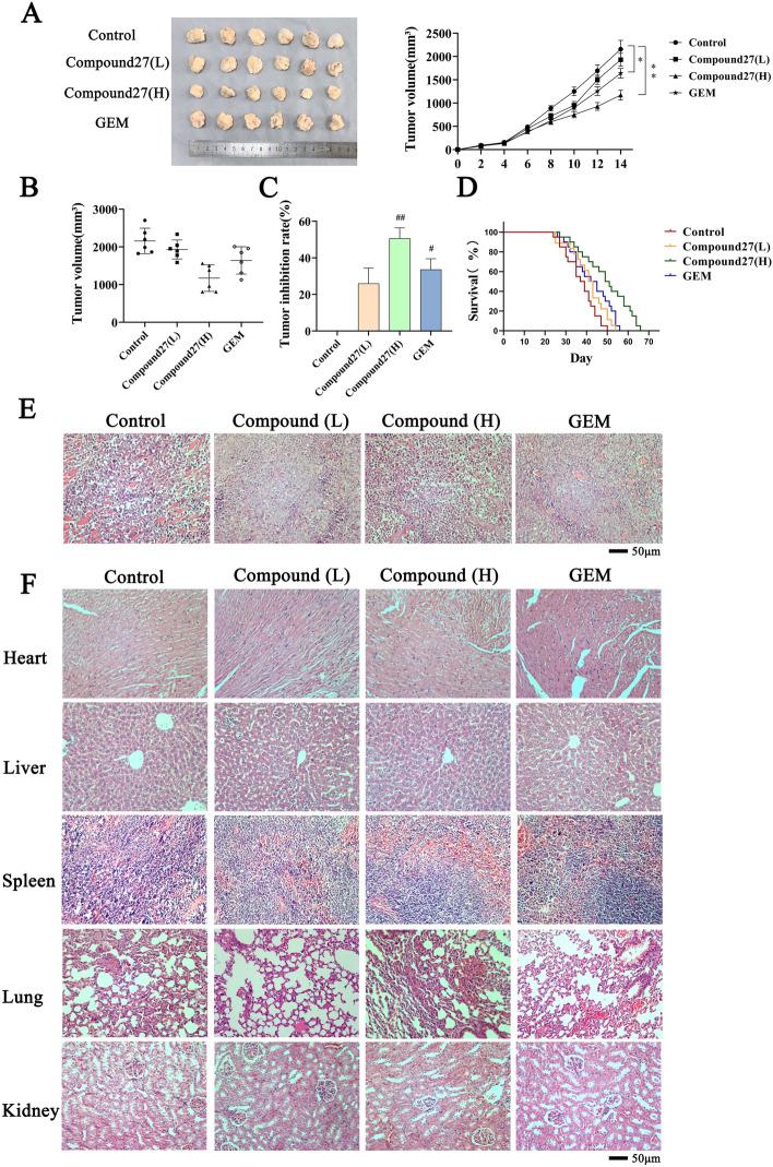 https://cdn.ncbi.nlm.nih.gov/pmc/blobs/154e/12141488/586c1ae4da8f/41598_2025_4855_Fig8_HTML.jpg