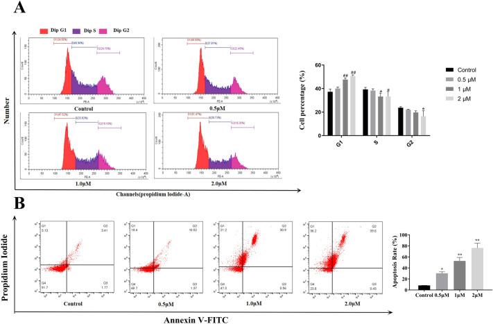 https://cdn.ncbi.nlm.nih.gov/pmc/blobs/154e/12141488/6ef18e88e529/41598_2025_4855_Fig7_HTML.jpg