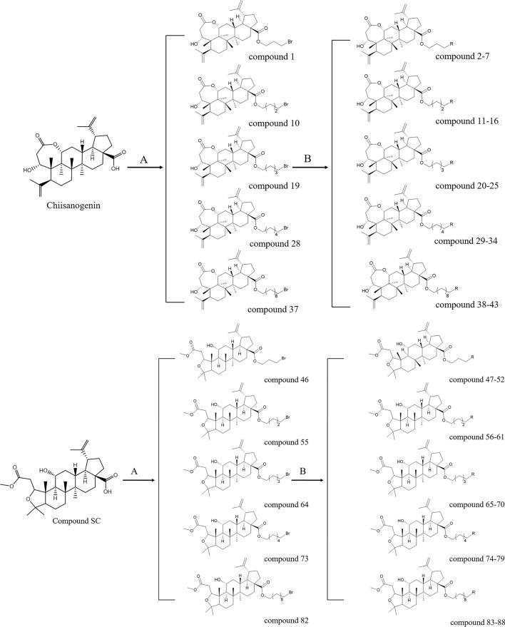 https://cdn.ncbi.nlm.nih.gov/pmc/blobs/154e/12141488/cec4eba27c6e/41598_2025_4855_Fig2_HTML.jpg
