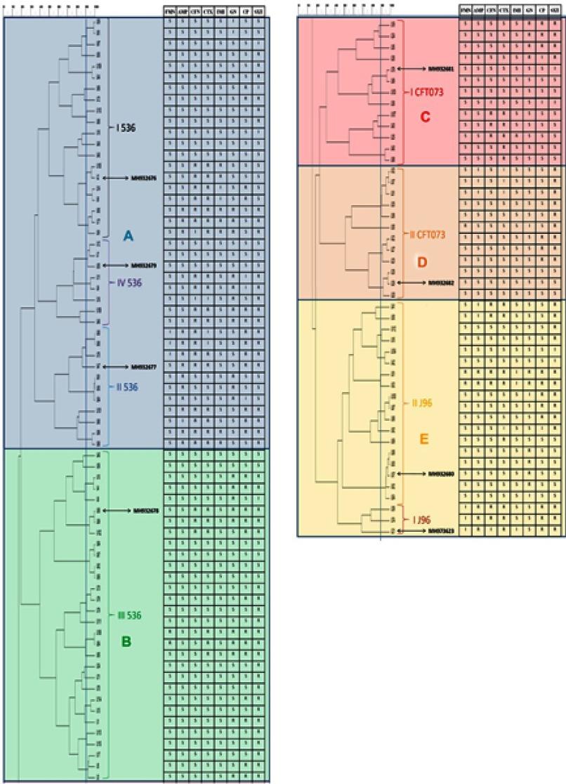 https://cdn.ncbi.nlm.nih.gov/pmc/blobs/1550/6636430/b722f1a1b421/IDR-12-1795-g0001.jpg
