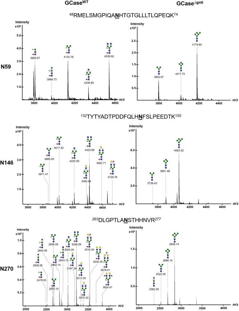https://cdn.ncbi.nlm.nih.gov/pmc/blobs/1550/8215604/9591438178c4/fpls-12-683762-g0004.jpg