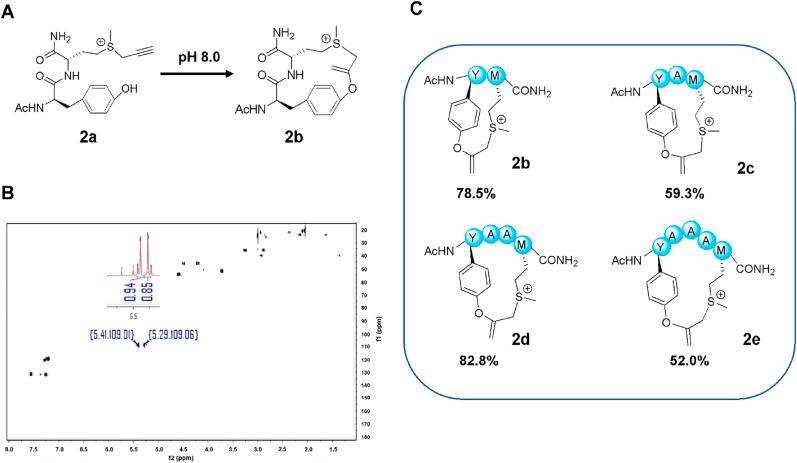 https://cdn.ncbi.nlm.nih.gov/pmc/blobs/1552/10336417/e18e35f4871d/gr2.jpg