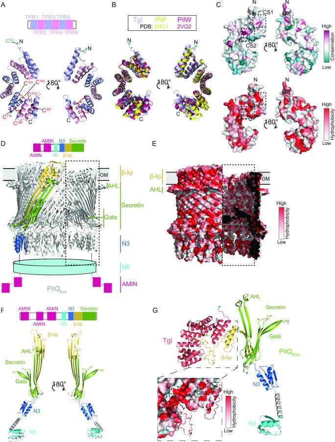 https://cdn.ncbi.nlm.nih.gov/pmc/blobs/1552/10653833/8a9c2a279721/mbio.01593-23.f007.jpg