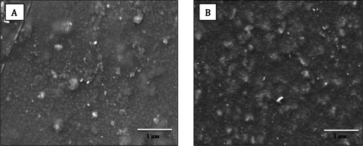 https://cdn.ncbi.nlm.nih.gov/pmc/blobs/1553/11303365/86d3140aef3b/11671_2024_4074_Fig3_HTML.jpg