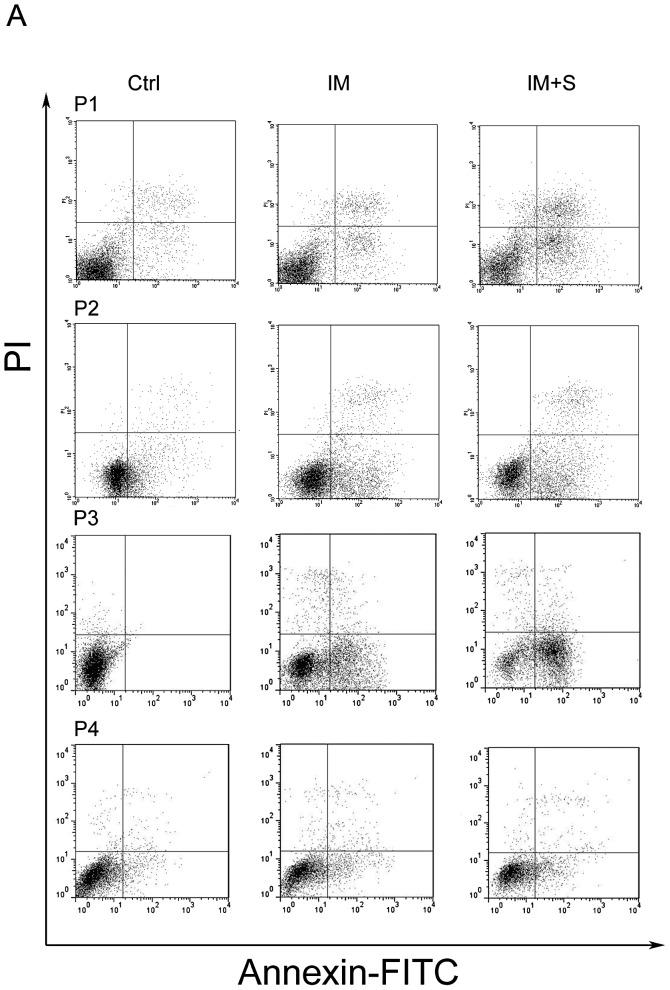 https://cdn.ncbi.nlm.nih.gov/pmc/blobs/1553/6904104/22829c78d3ae/IJO-44-05-1661-g14.jpg